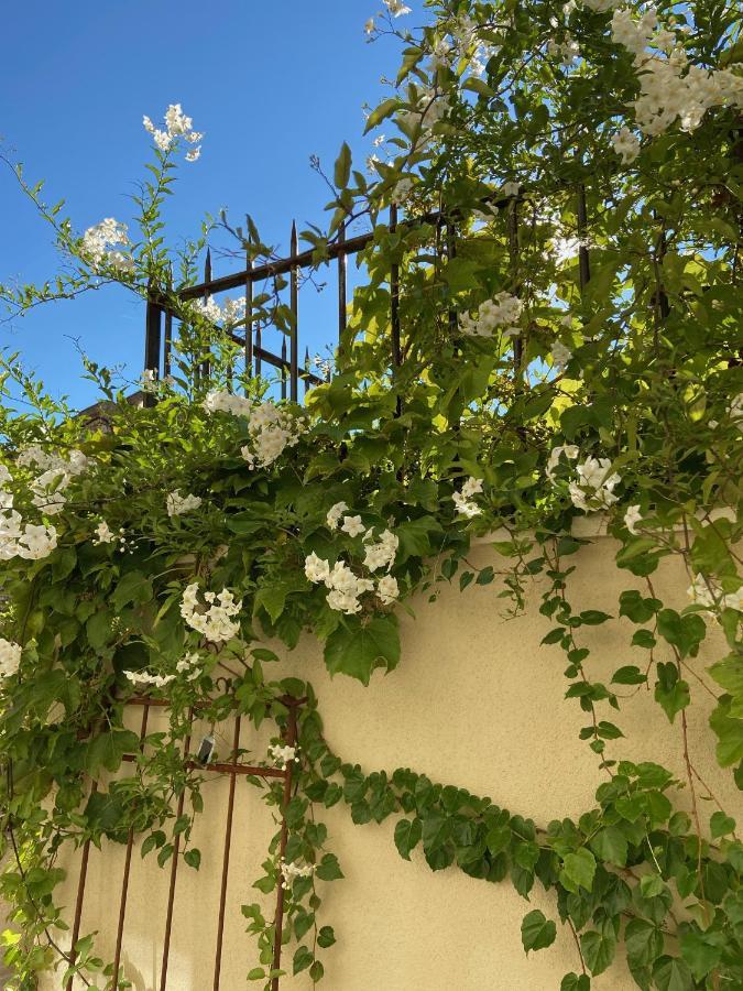 Le Jardinet De Rosa Maison De Village เอย์กาลิแยร์ ภายนอก รูปภาพ